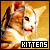 Katts & Kittens: