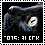  Cats: Black: 