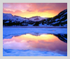 Winter Wonderland